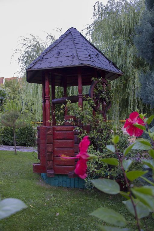 Hotel Carpati Baia Mare Bagian luar foto