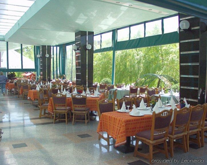 Hotel Carpati Baia Mare Restoran foto